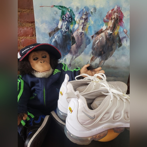 Nike Vapor Max Plus - Picture 7 of 11